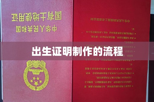 定州出生证明制作的流程