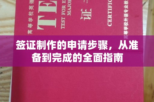 定州签证制作的申请步骤，从准备到完成的全面指南
