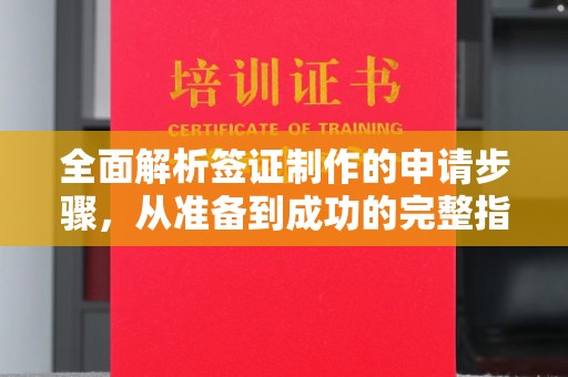 定州全面解析签证制作的申请步骤，从准备到成功的完整指南