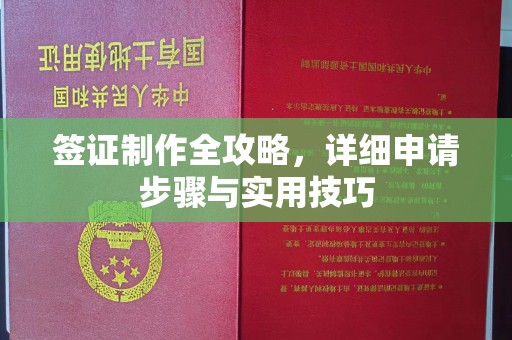定州签证制作全攻略，详细申请步骤与实用技巧