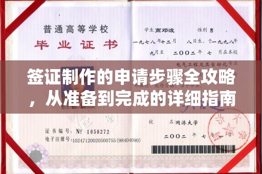 定州签证制作的申请步骤全攻略，从准备到完成的详细指南