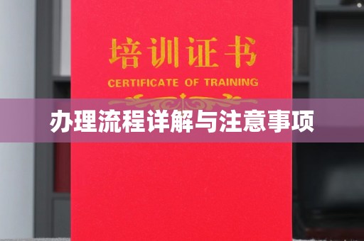 定州办理流程详解与注意事项